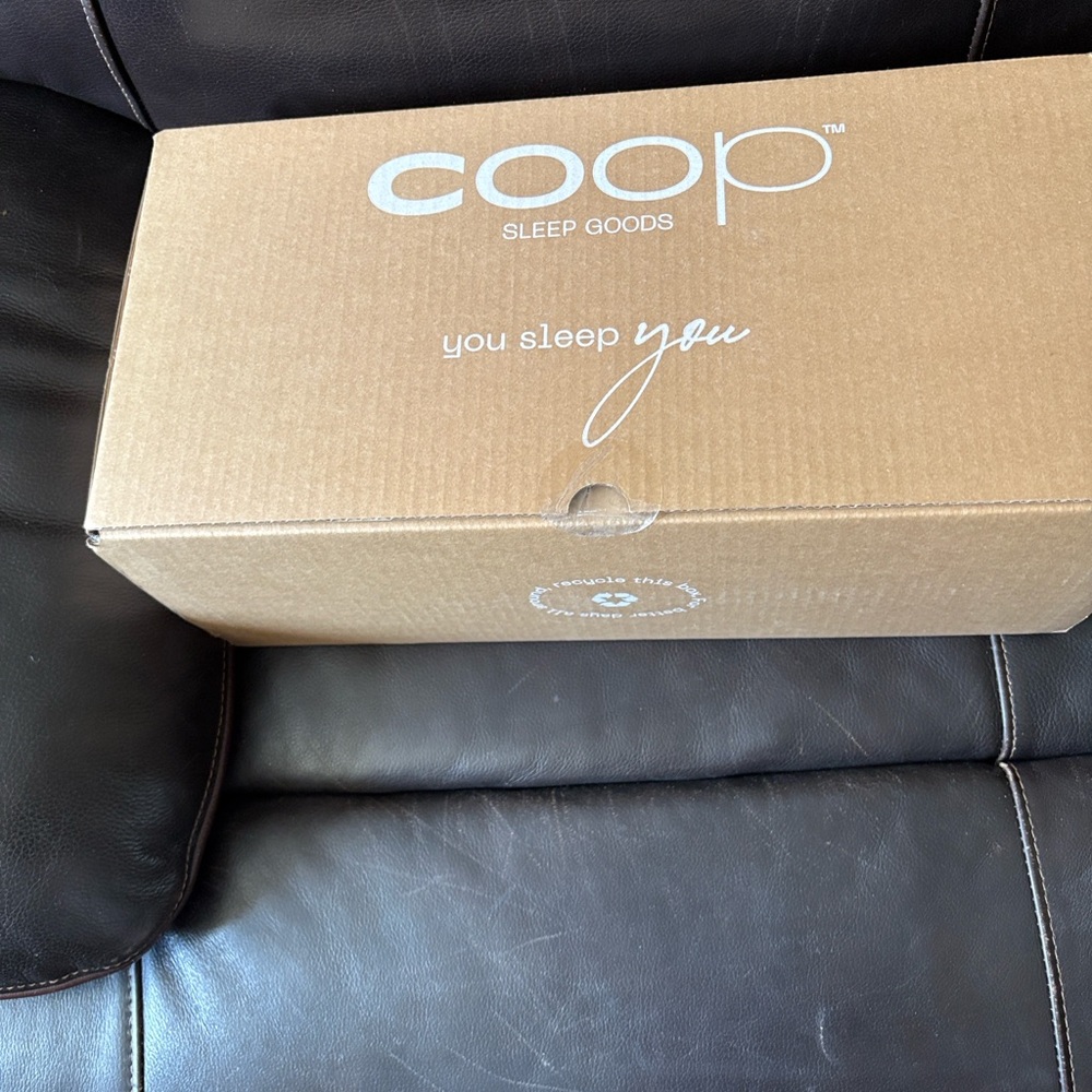 COOP White Pillow Fill Pack - 3-Pack - Picture 6 of 8